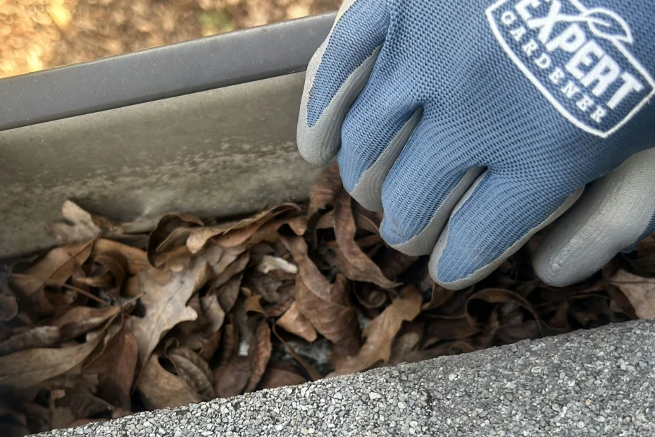 Gutter Cleaning The Hills